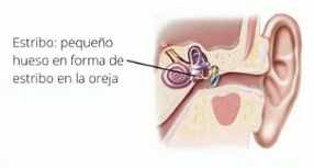 Estribo
