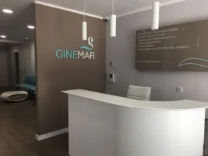 ginebra