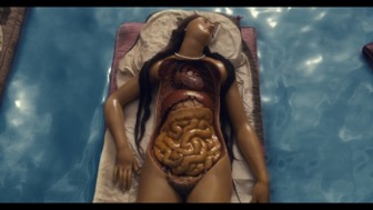 Four Unloved Women, Adrift on a Purposeless Sea, Experience The Ecstasy of Dissection